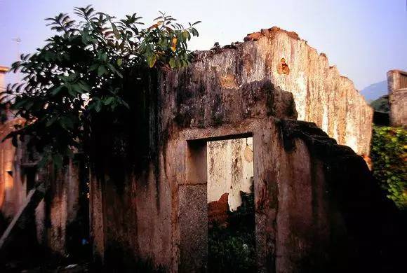 1713595371660594.jpeg 19.jpeg