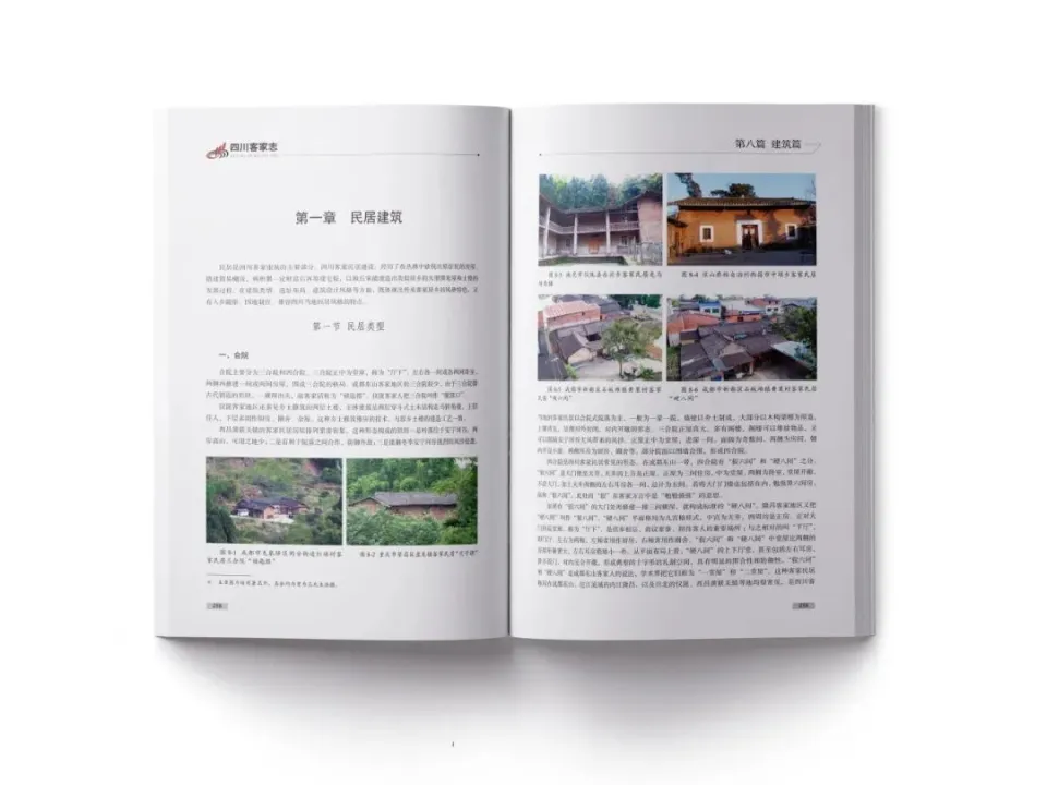 3.webp