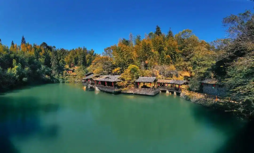 1753147739642712.webp 5.webp